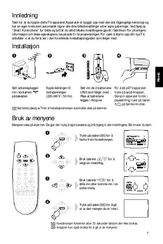 Mode d'emploi PHILIPS 17PT1563